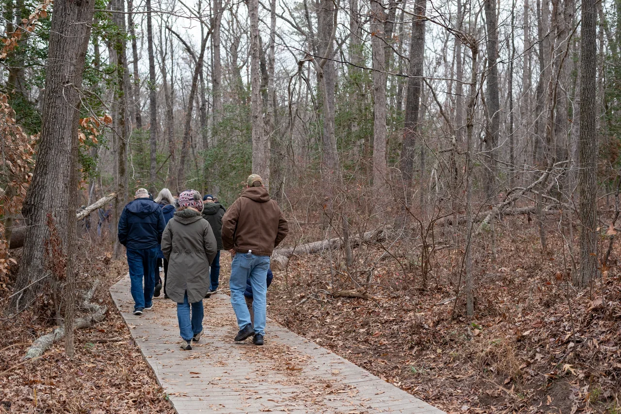 Visitors and boardwalk at the Bernard’s Cabins battlefield area during an archived programme