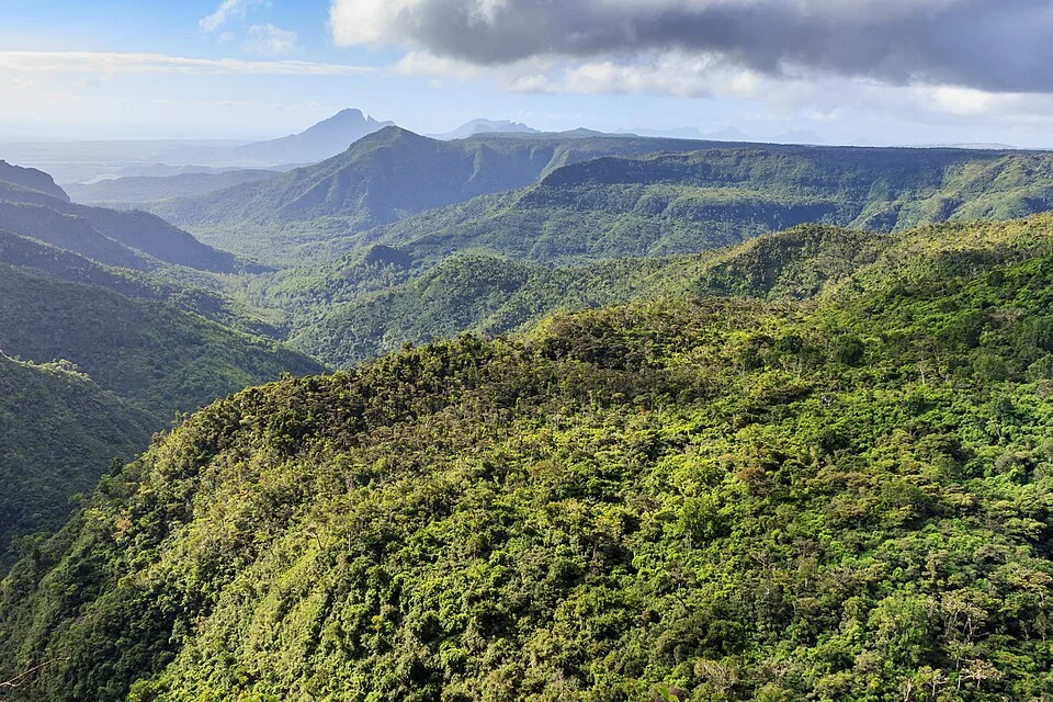 Valleys in Black River Gorges National Park