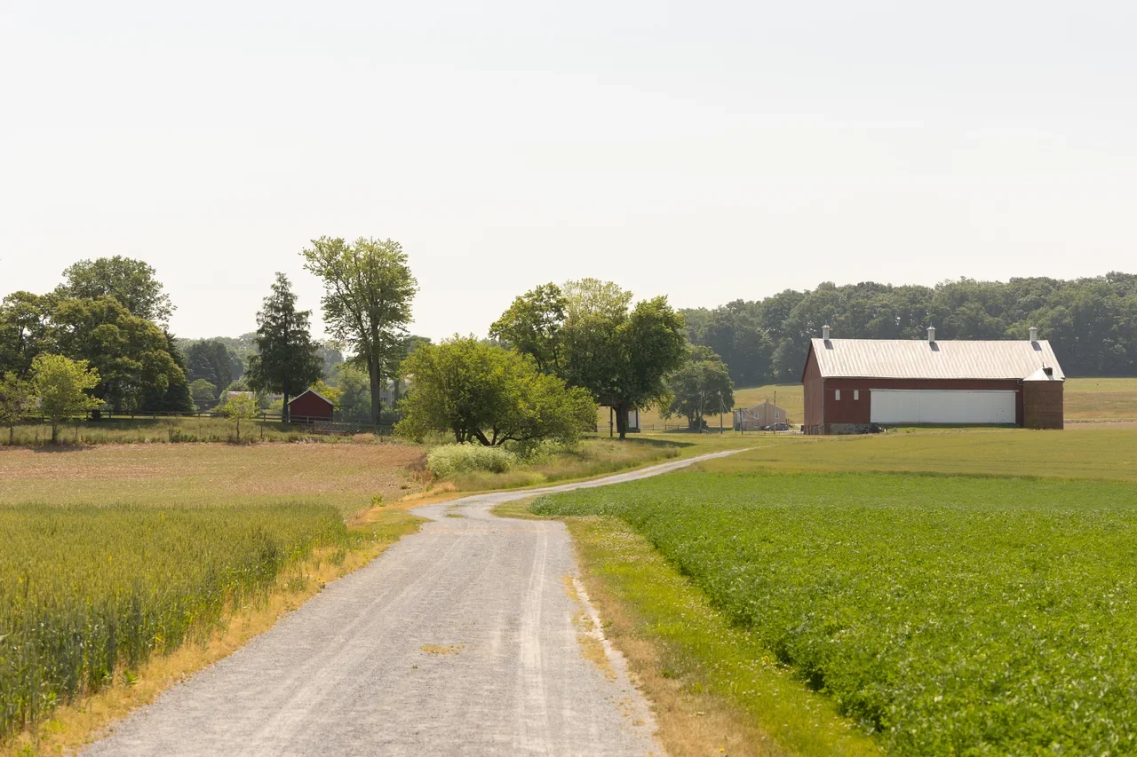 Monocacy Thomas Farm patikasının açık alan manzarası, NPS arşivi