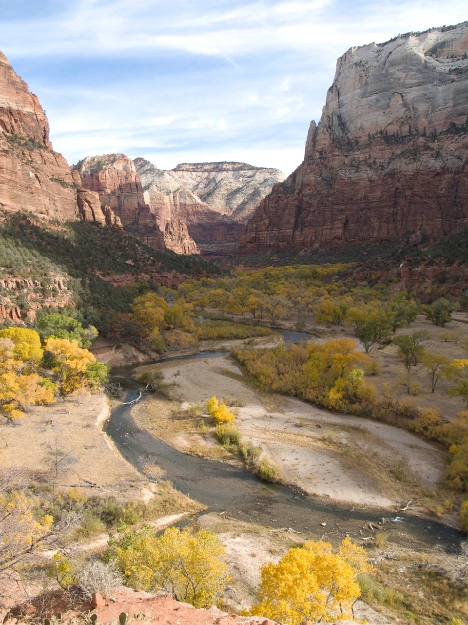 Virgin River meander among autumn trees, NPS archive