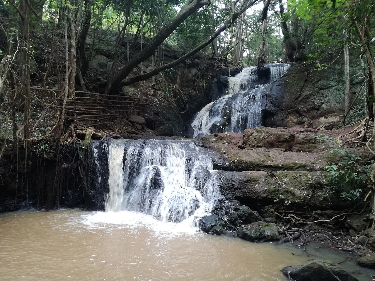Waterfall and woodland in Nairobi’s Karura Forest; September 2022.