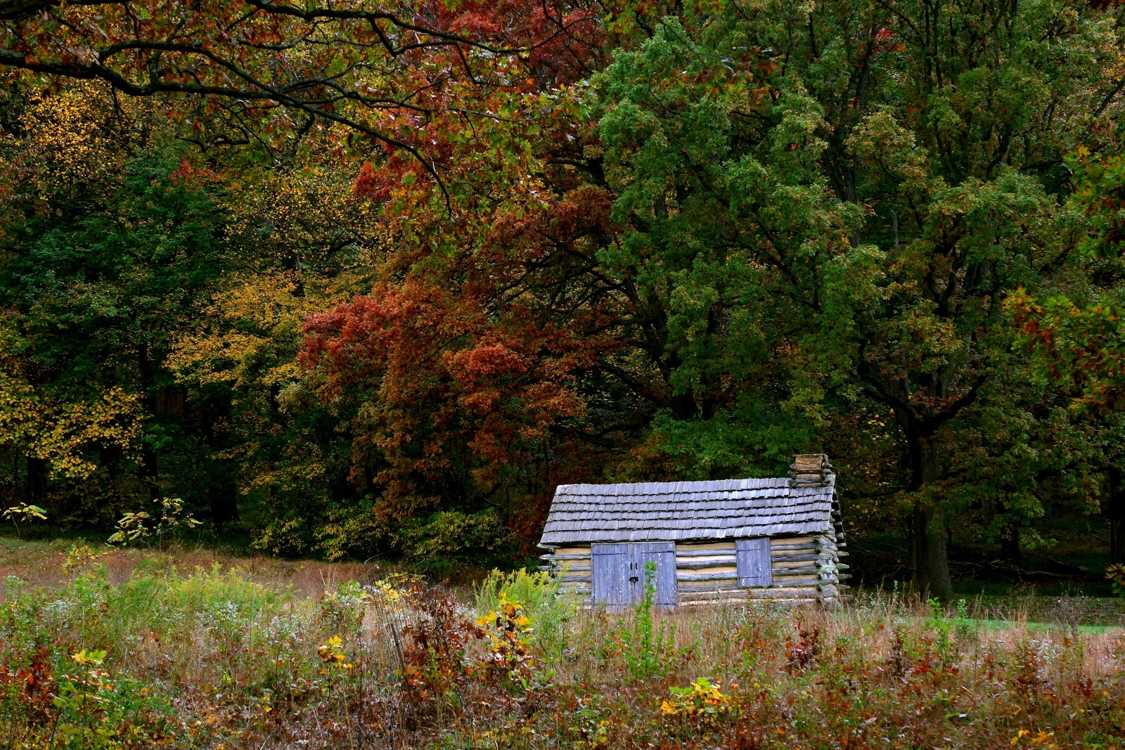 Log hut at Valley Forge Artillery Park beneath autumn woodland