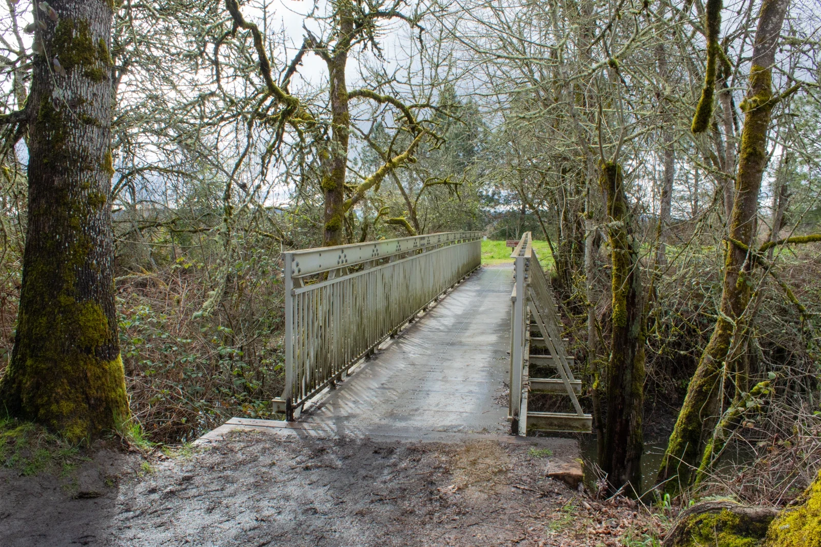 Metal footbridge through wet woodland at Tualatin River refuge