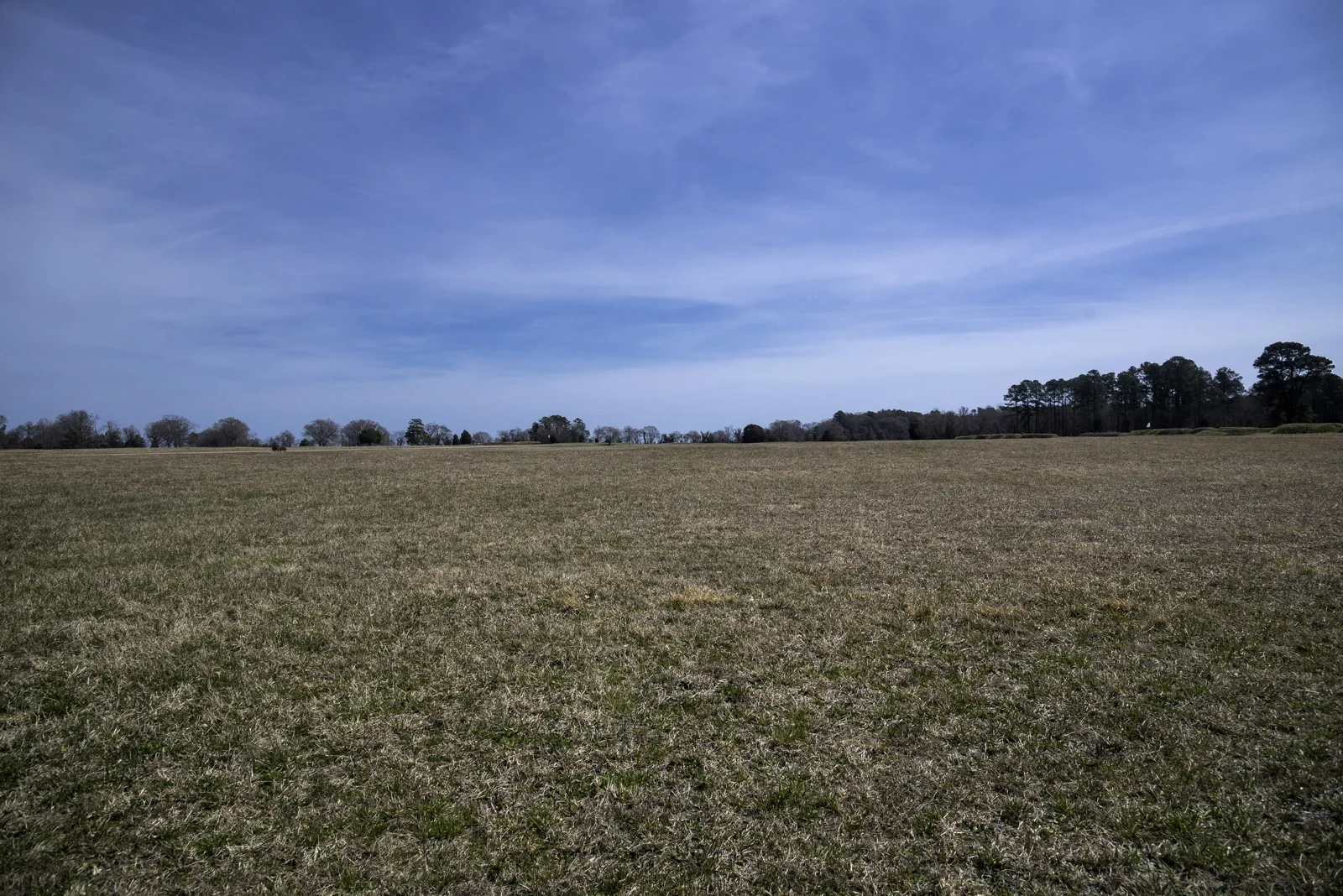 Yorktown Battlefield içinde geniş çayır ve ağaç çizgisi