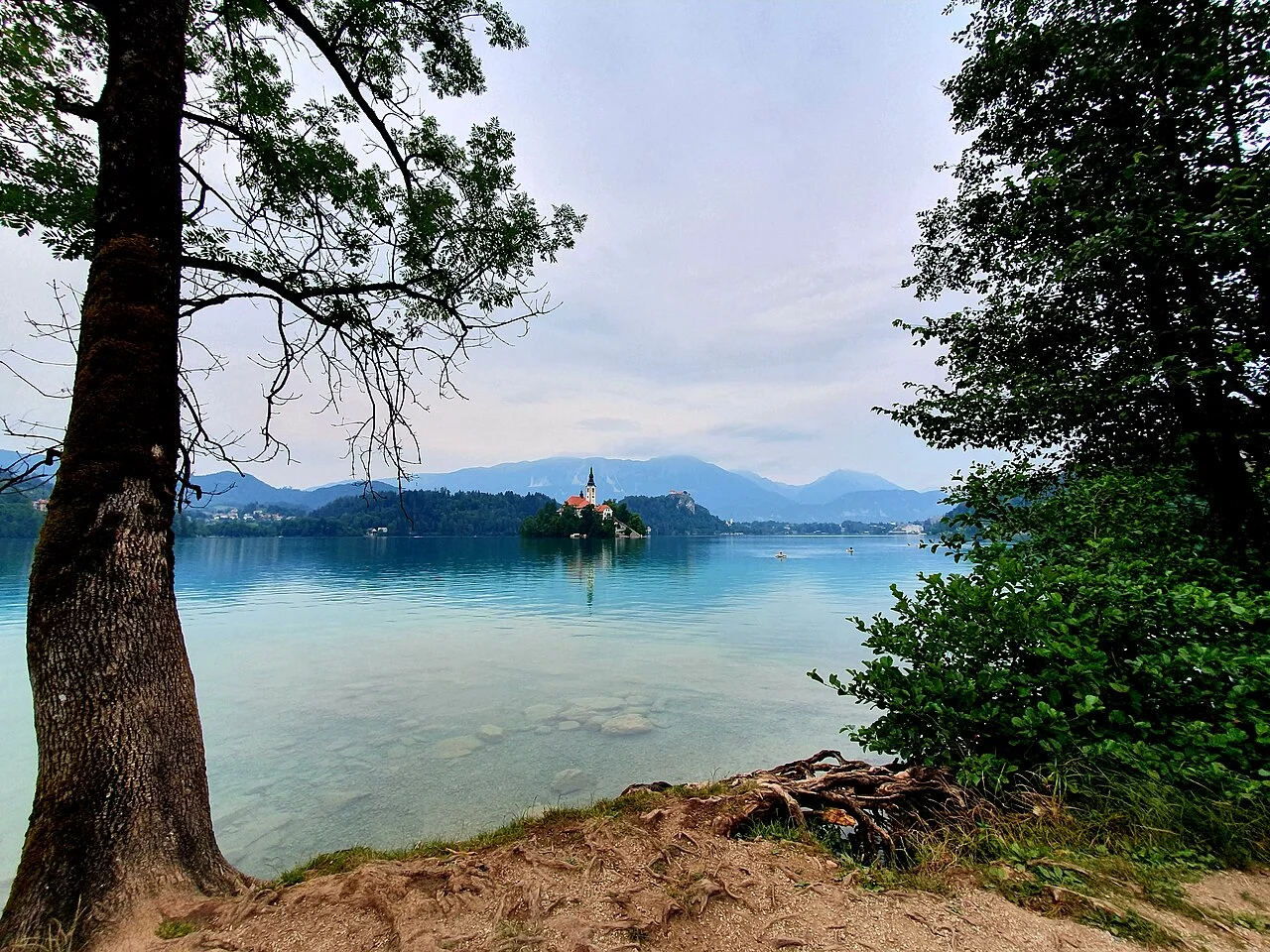 Velika Zaka kıyısından Bled Adası ve göl görünümü; Temmuz 2019.