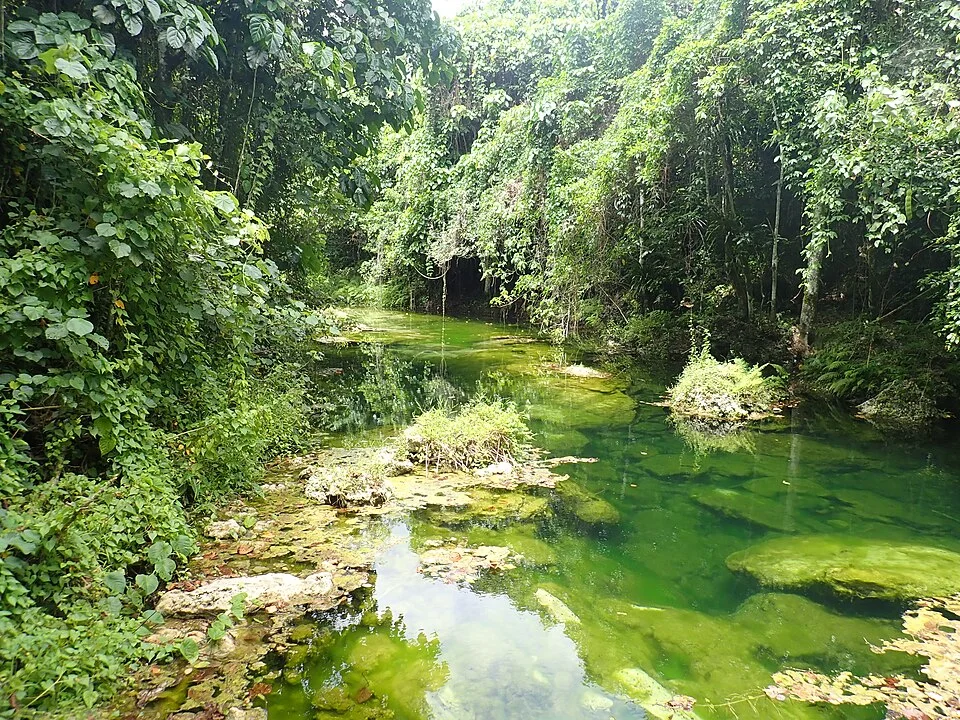 Rentapao river and forest on Efate, Vanuatu