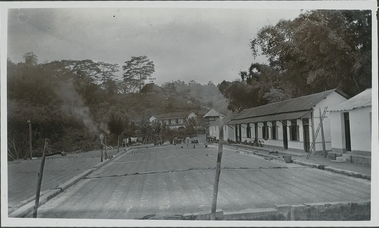 Archival photograph of a coffee enterprise in Portuguese Timor; unknown photographer, KITLV/Leiden University Library, published 1927, capture date unknown; not a current Maubisse property