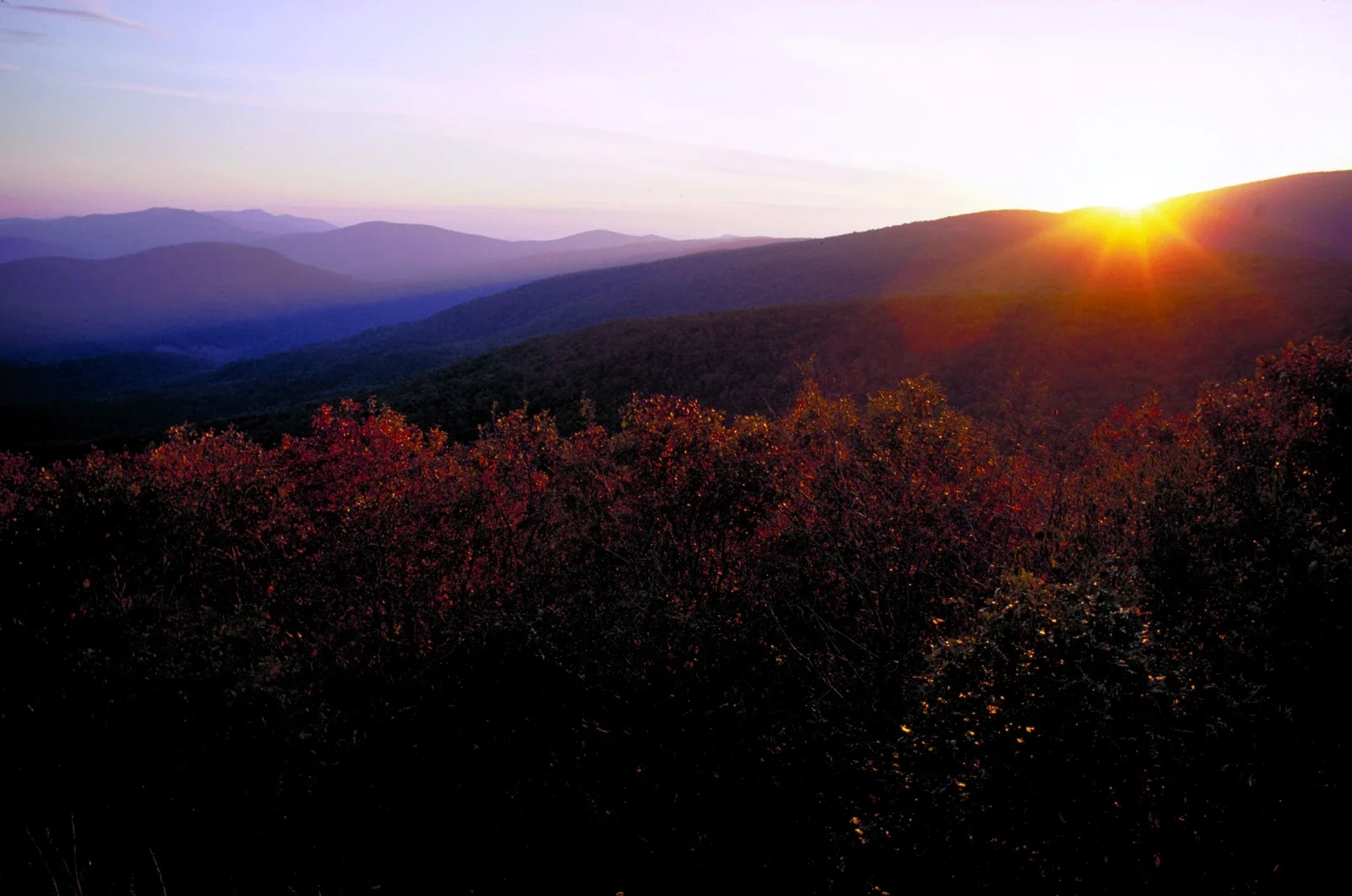 Shenandoah National Park dağ sıraları üzerinden yükselen güneş ve sonbahar ağaçları