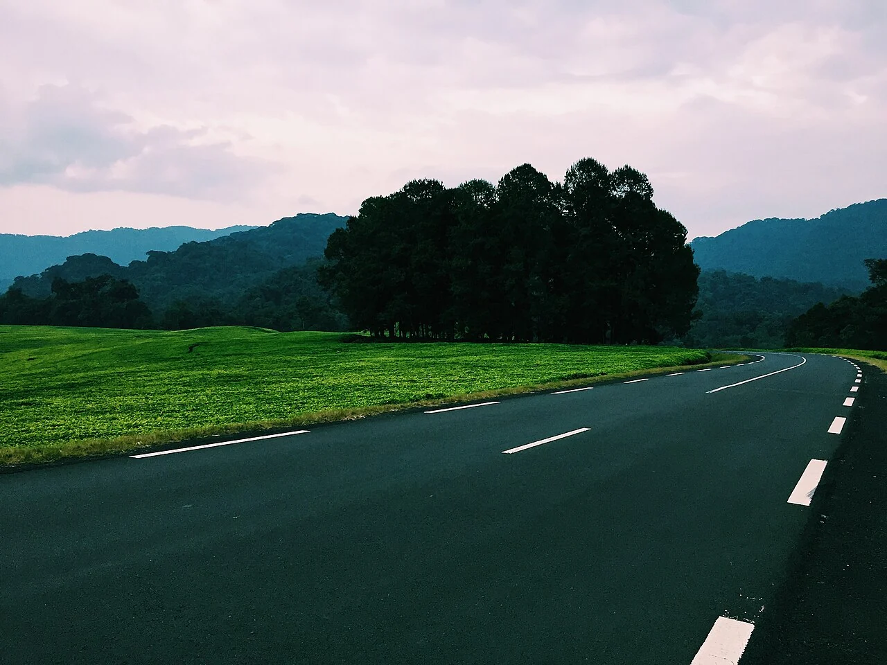 Road and green landscape by the Nyungwe forest entrance, August 2018