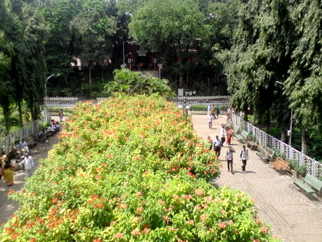 Green surroundings in Sarasbaug garden, Pune