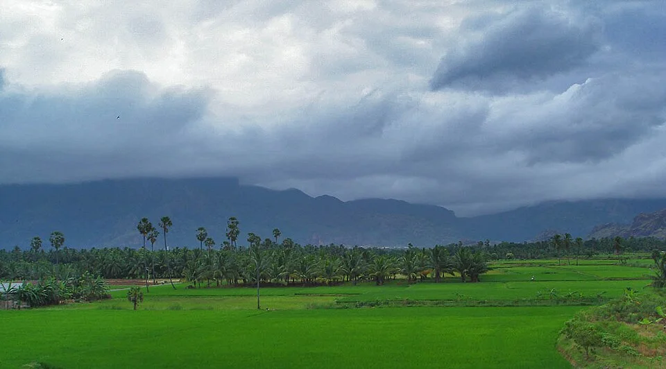 Paddy fields between Aralvaimozhy and Nagercoil