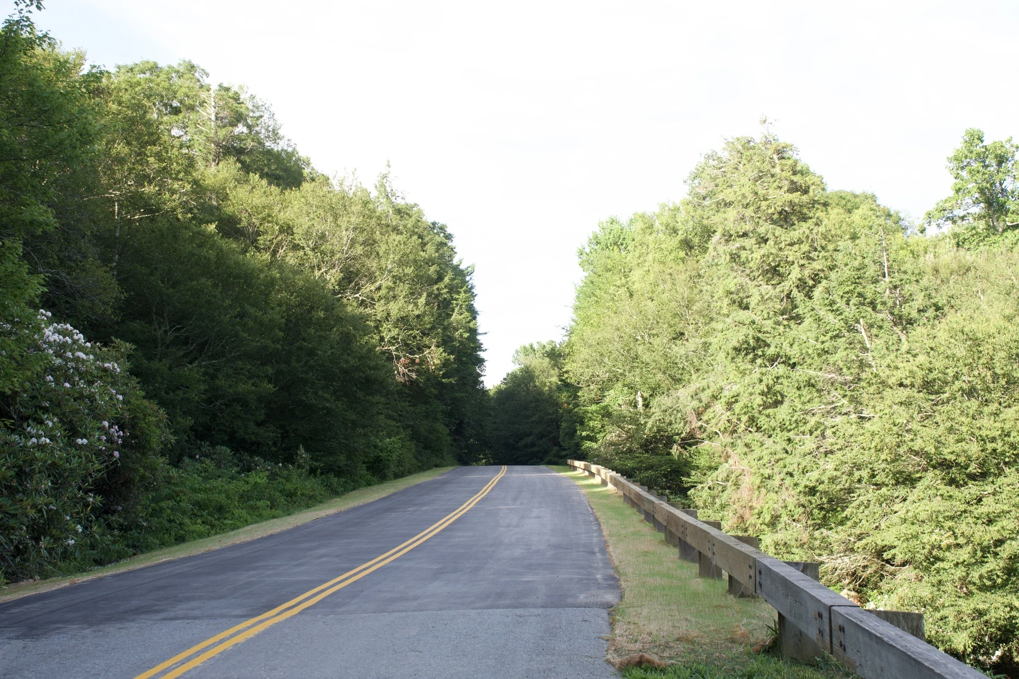 Road and timber guardrail after repairs at Blue Ridge Parkway milepost 306.8