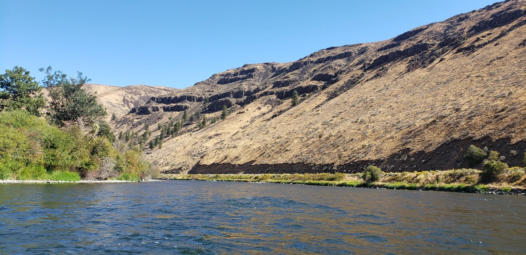 Yakima River Canyon nehir ve bazalt yamaçlarının Eylül 2024 arşiv görünümü