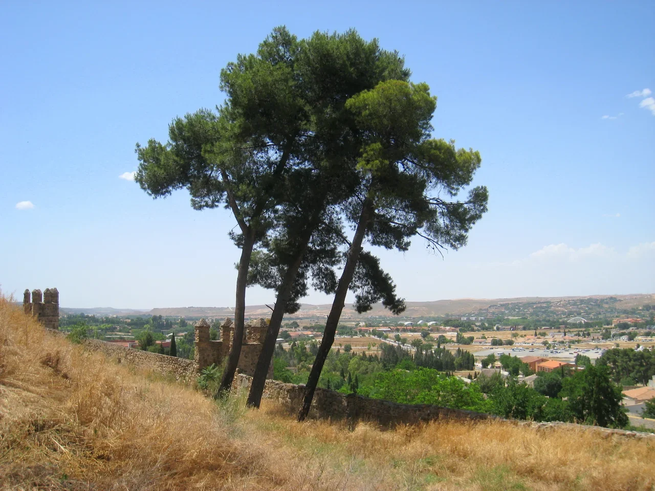Toledo yürüyen merdiven güzergâhı yakınından ağaçlar ve aşağı kent yönüne bakış, 2009