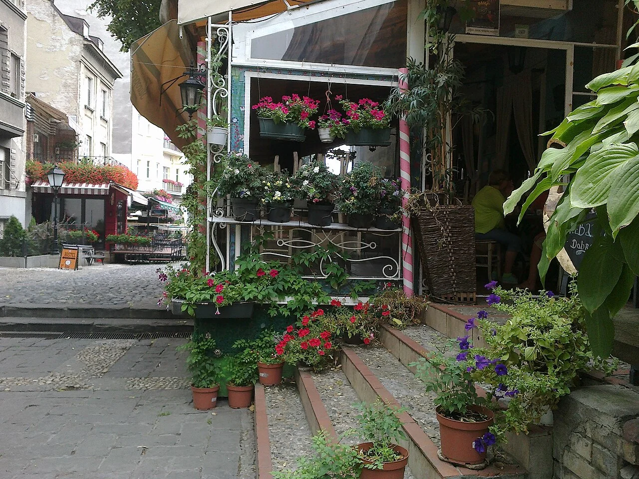 Belgrad Skadarlija’da taş sokak ve bitkiler, Temmuz 2014; güncel restoran açıklığı veya menüsü değildir.