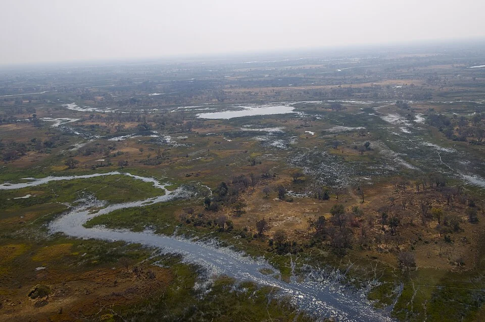 Okavango Deltası üzerinde kanallar ve adalar