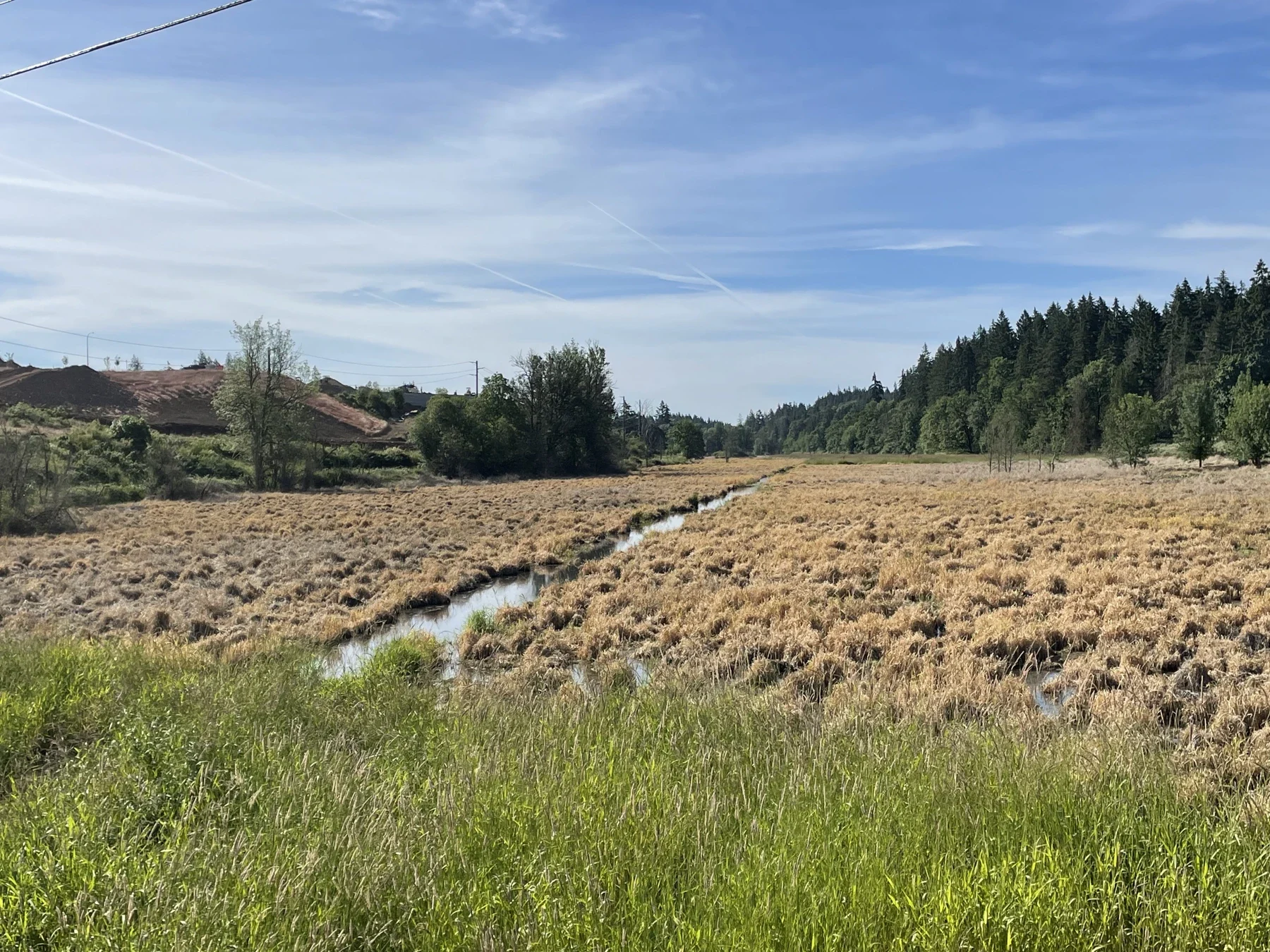 Tualatin sığınağının ayrı Rock Creek birimindeki sulak alan; arşiv