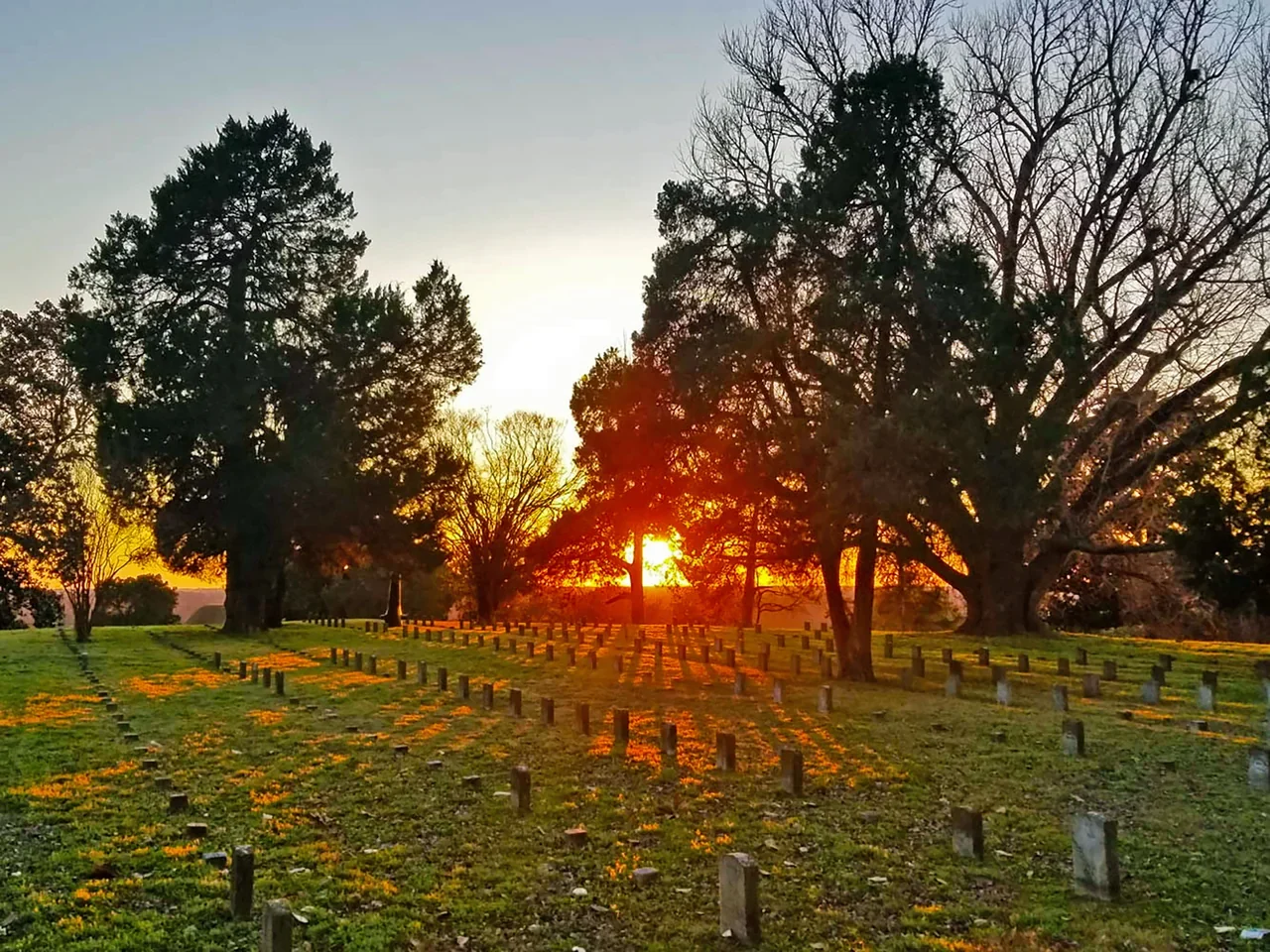 Vicksburg National Cemetery mezar sıraları ve ağaçları gün batımında, arşiv fotoğrafı