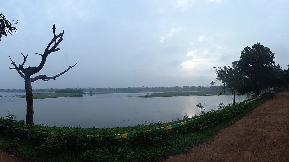 Shoreline view of Kundawada lake in Davangere