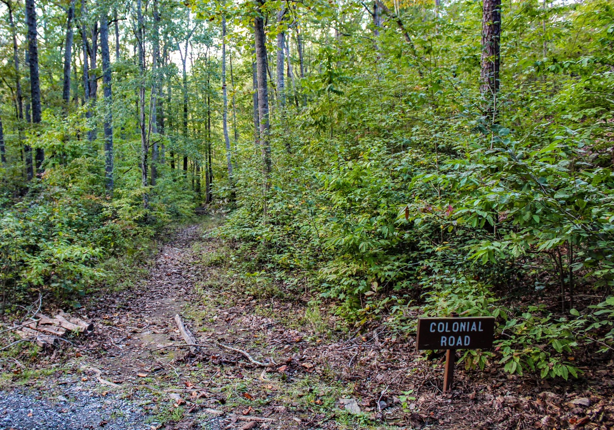 Colonial Road sign beside a wooded route at Kings Mountain National Military Park