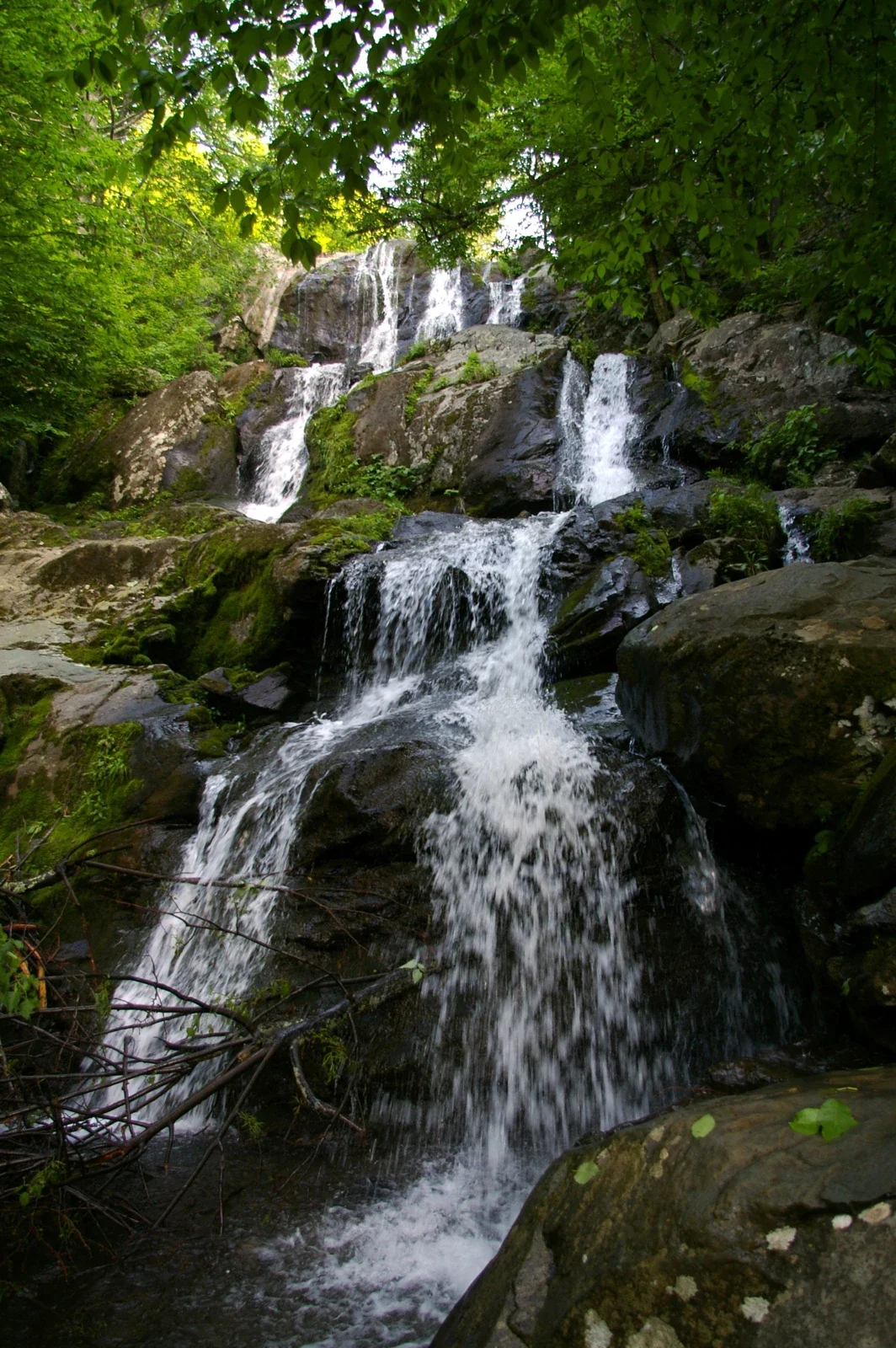 Shenandoah National Park içindeki Dark Hollow Falls’un kayalar üzerinden akan yaz görünümü