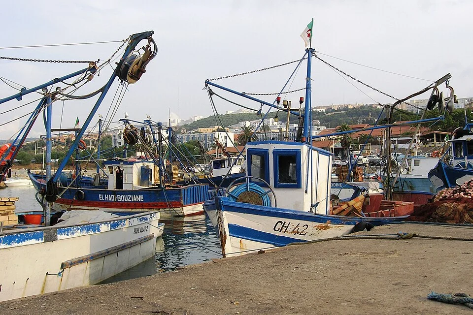 Sea and boats in the harbour of Tipaza