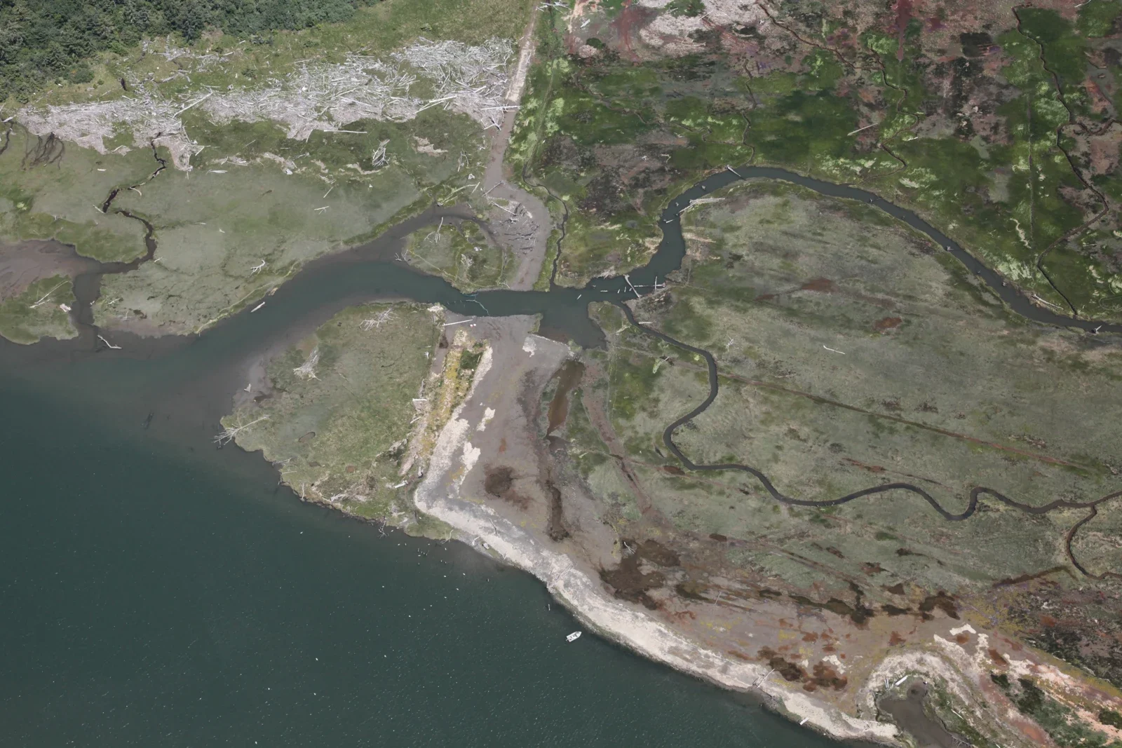 2013 archive of natural wetland at the mouth of Fahy Creek