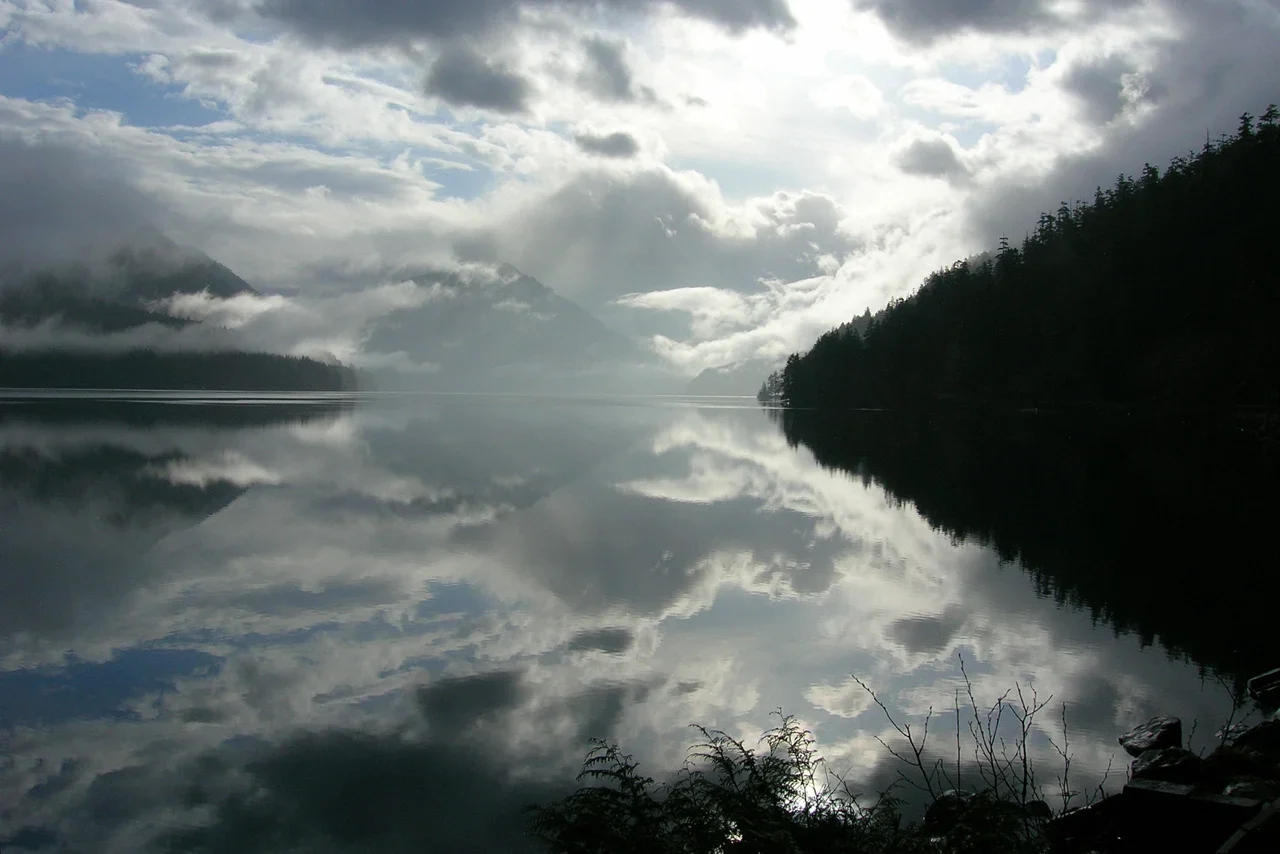 Lake Crescent yüzeyine yansıyan bulutlar ve ormanlı kıyı