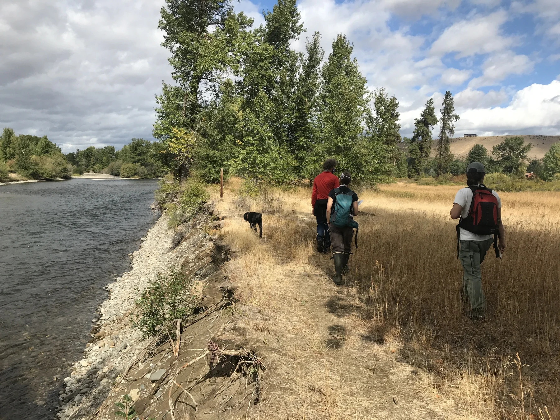 Archive erosion assessment beside the Yakima River; not a visitor route
