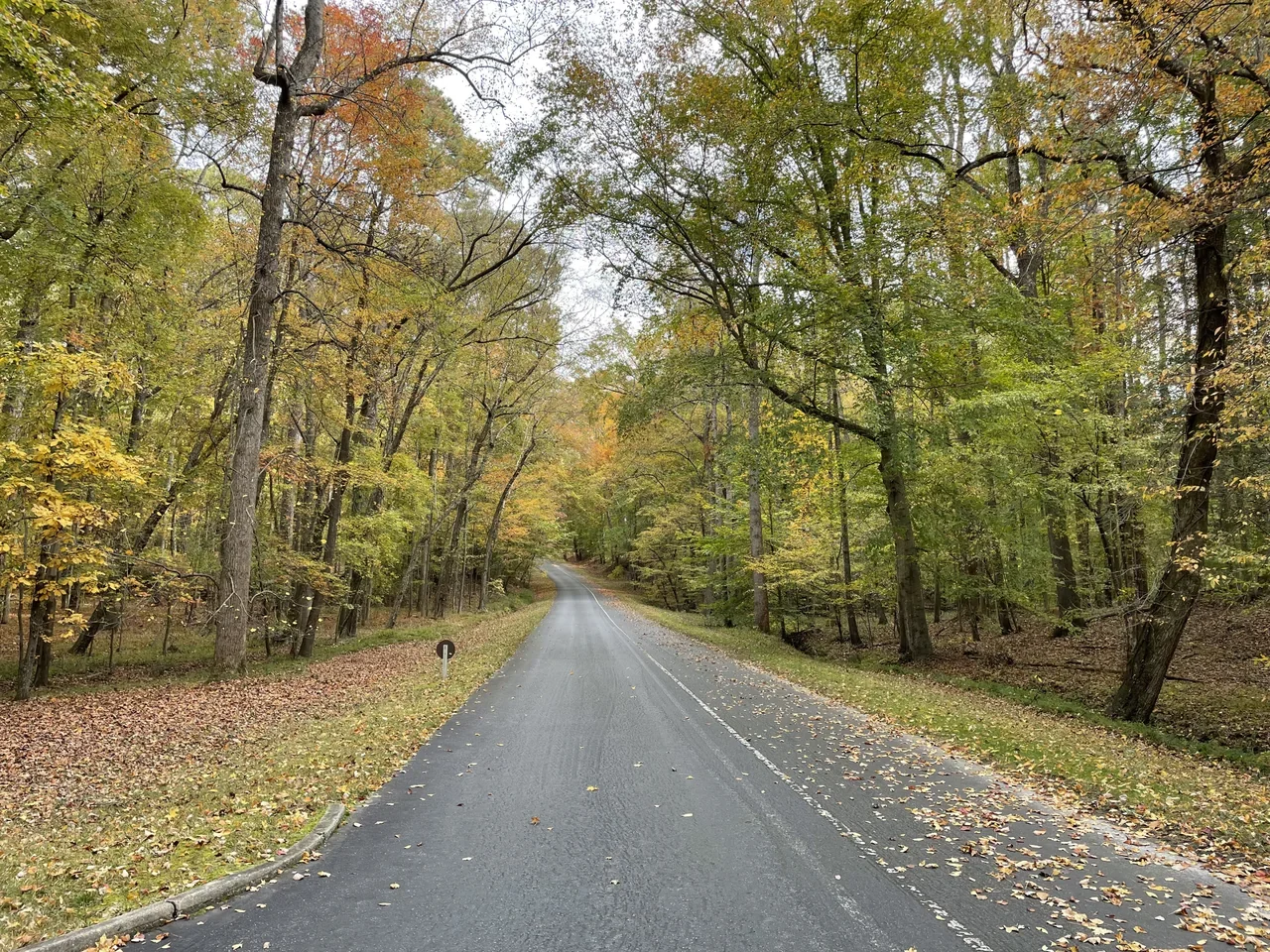 Autumn foliage on Petersburg Eastern Front tour road in2022, NPS archive