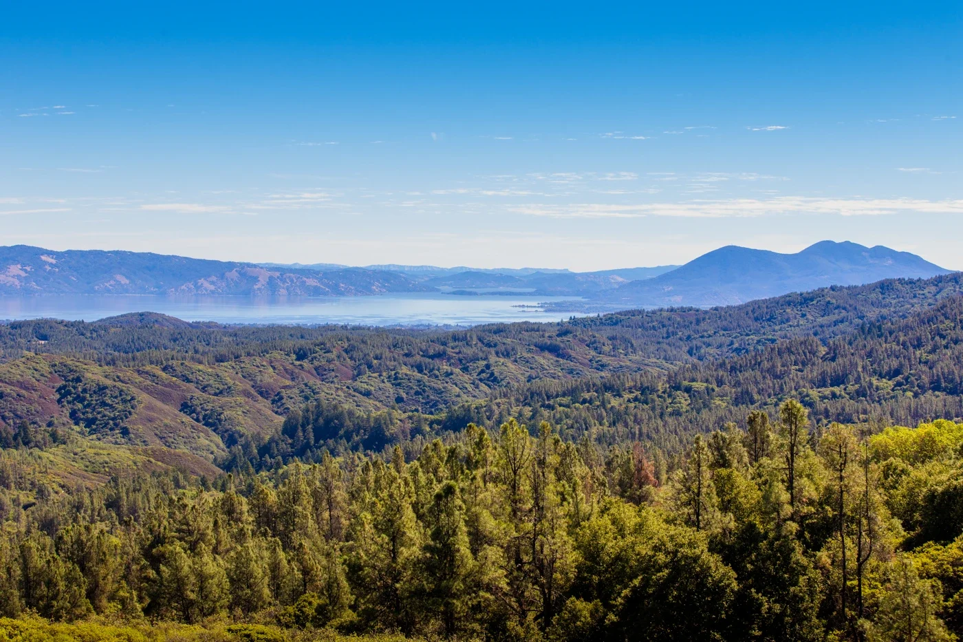 Wooded Cow Mountain ridges and a distant lake