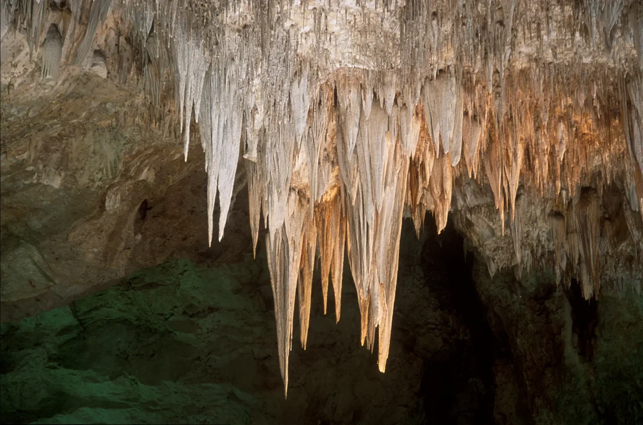 Archival cave photograph of the Chandelier stalactite formation in Carlsbad Cavern Big Room