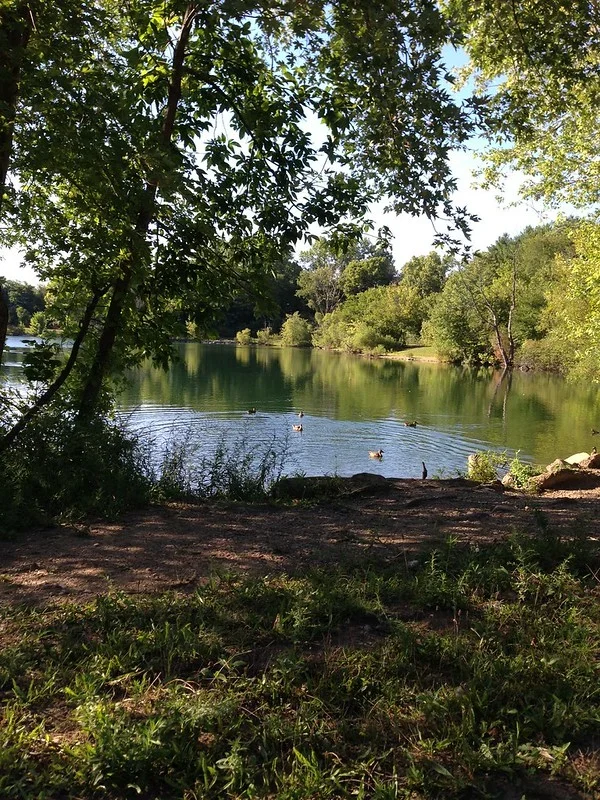 Ağaçların gölgelediği Cenci Lake kıyısı