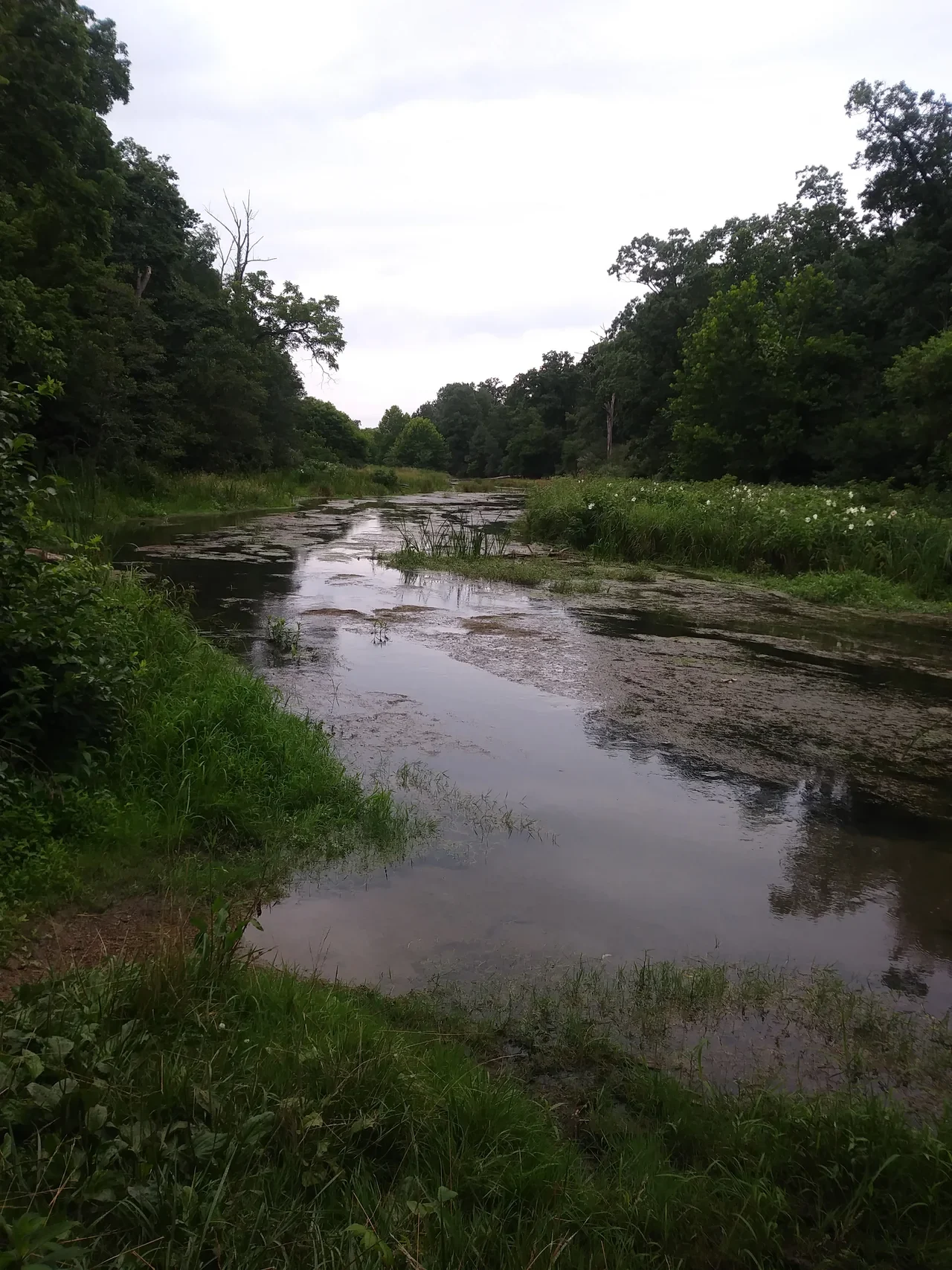 Archival view of Red Bud Run at Third Winchester Battlefield