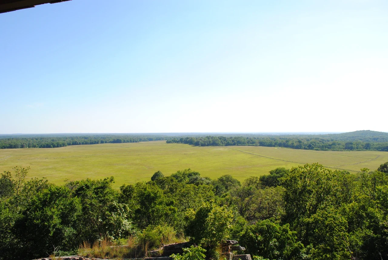 Pea Ridge East Overlook seyir noktasından tarla ve orman sınırları