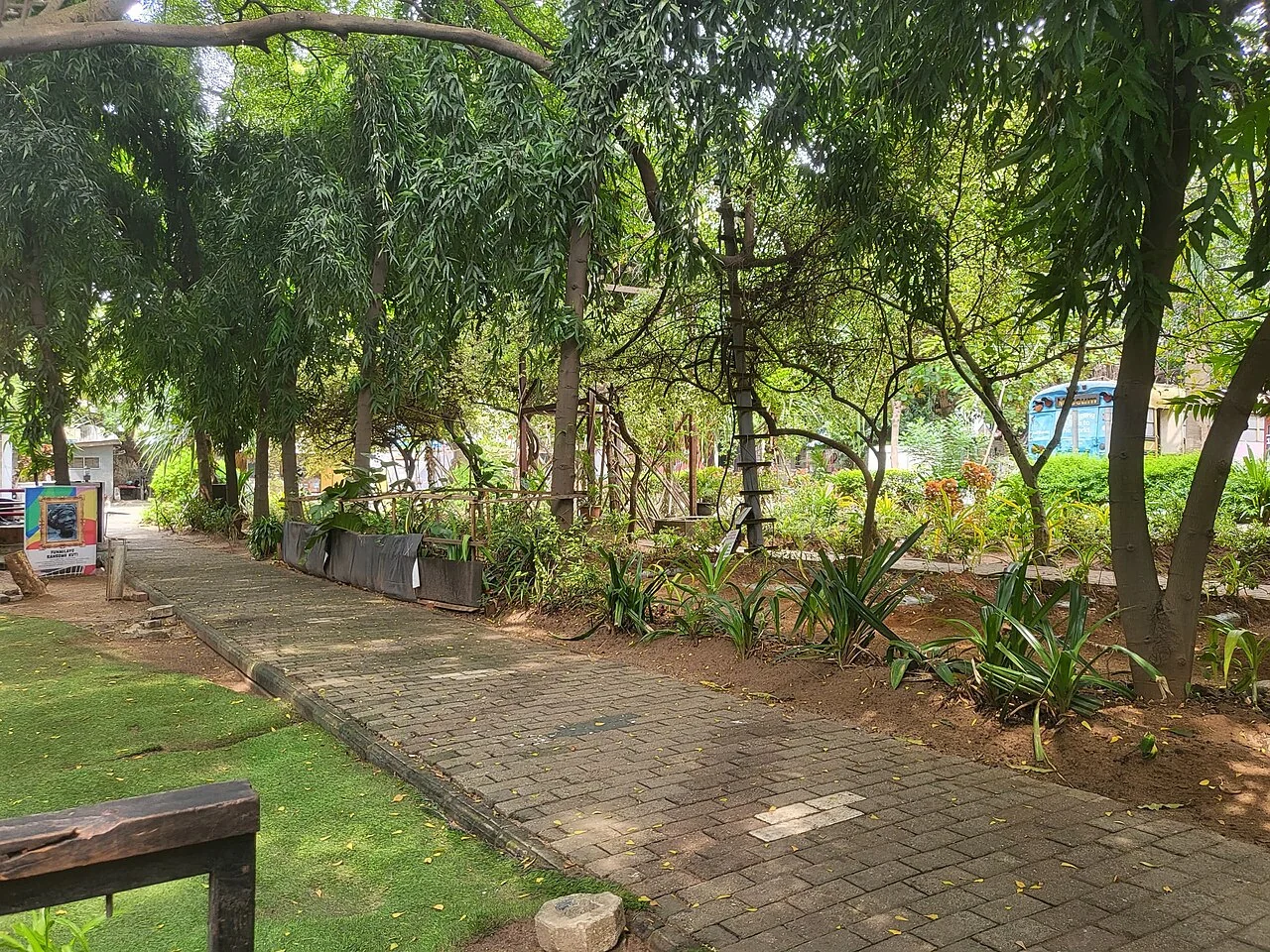 Pathway and garden setting at Freedom Park; Afternoon Archer, 14 January 2026