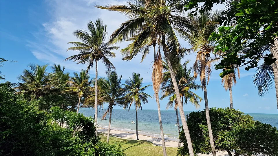 Palm trees on the coast of Inhambane Province