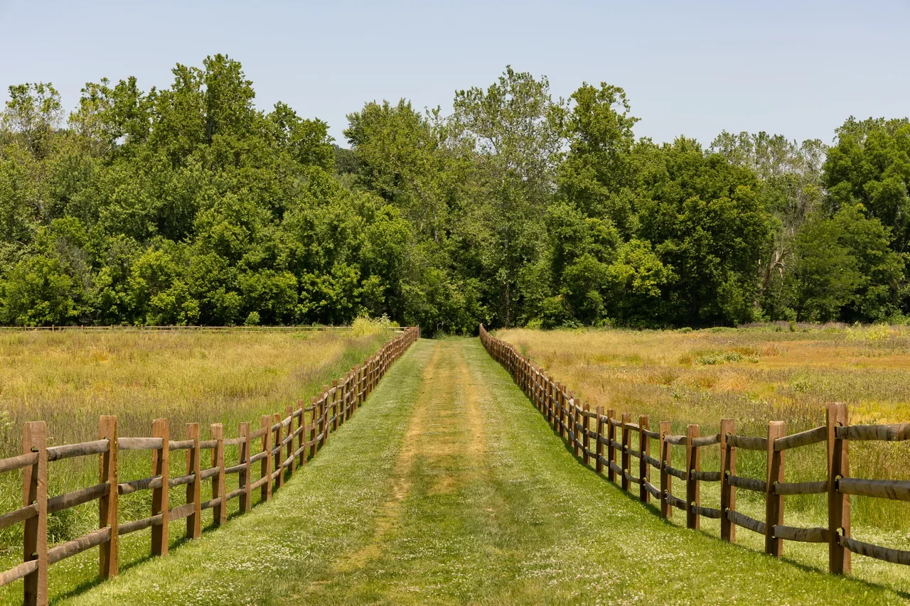 Monocacy Gambrill Mill patikasındaki yürüyüş ortamı, NPS arşivi