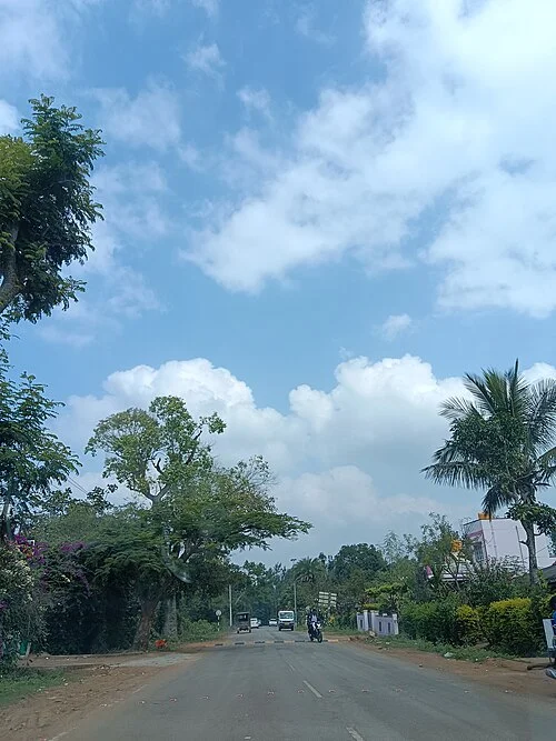 Kaynakta Chikkamagaluru olarak kaydedilen yol ve yeşil çevre görünümü