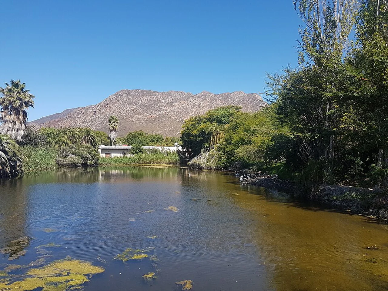 Montagu Lei irrigation dam, 2017; not a meal
