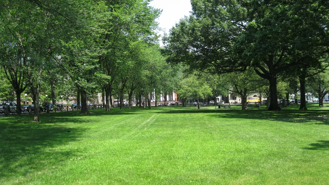 Upper New Haven Green, Haziran 2012 arşiv park görünümü