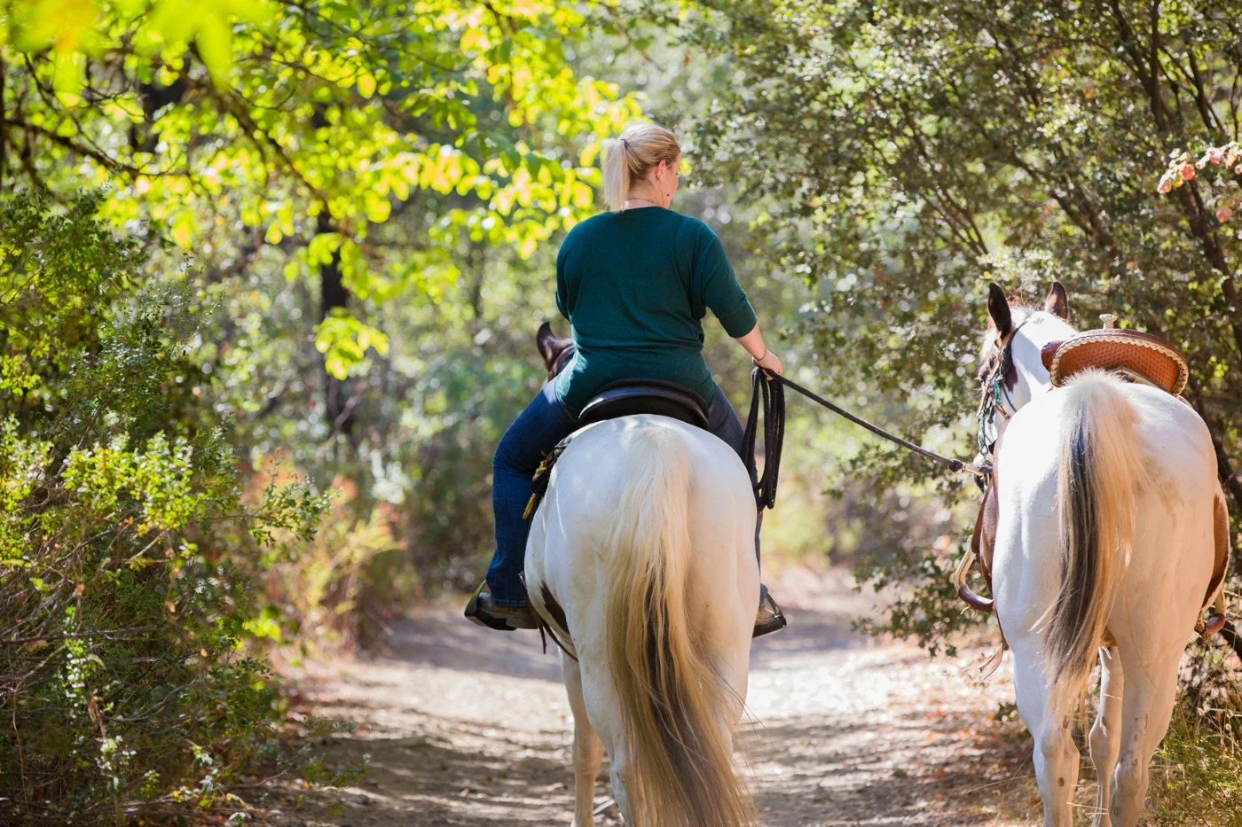 Archive riders on a wooded Cow Mountain trail