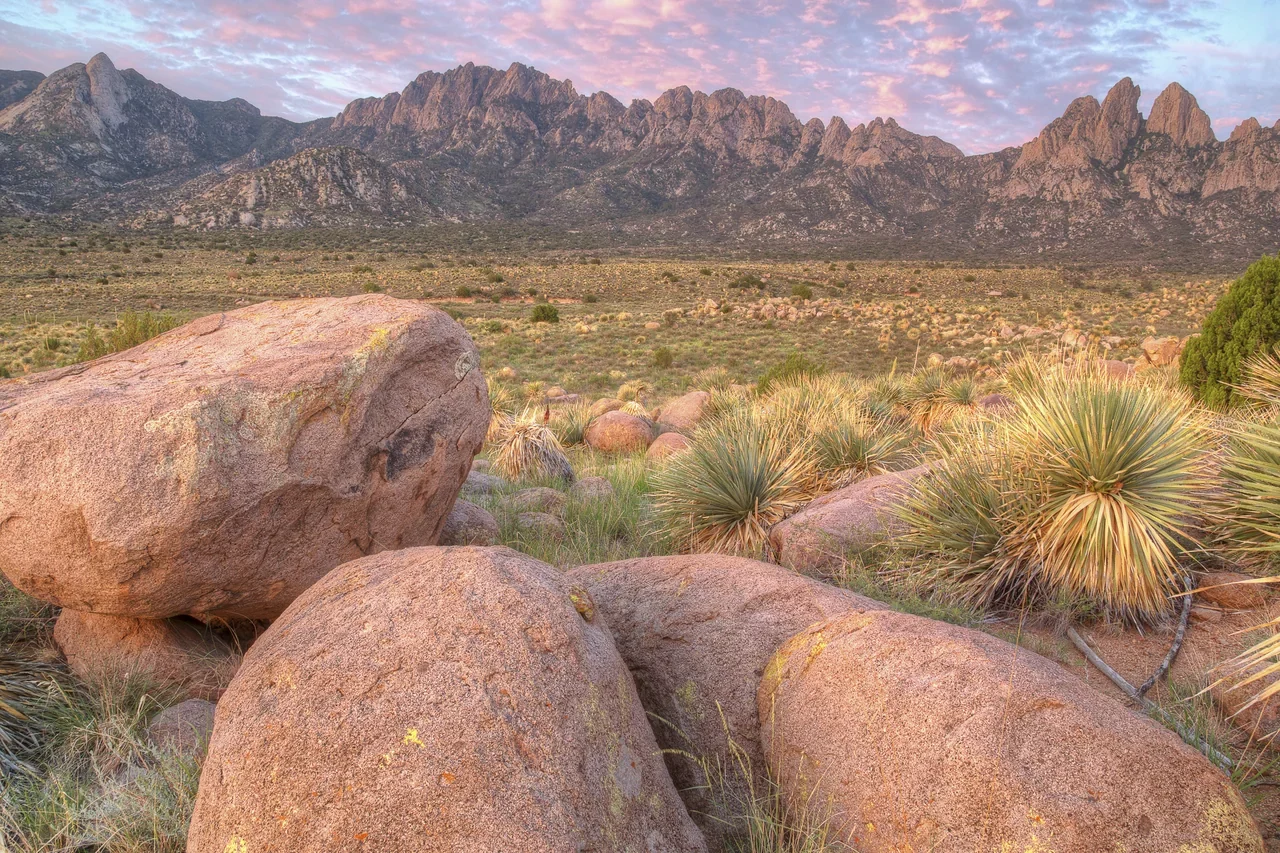 Wide Organ Mountains landscape with foreground rock and yucca, archive