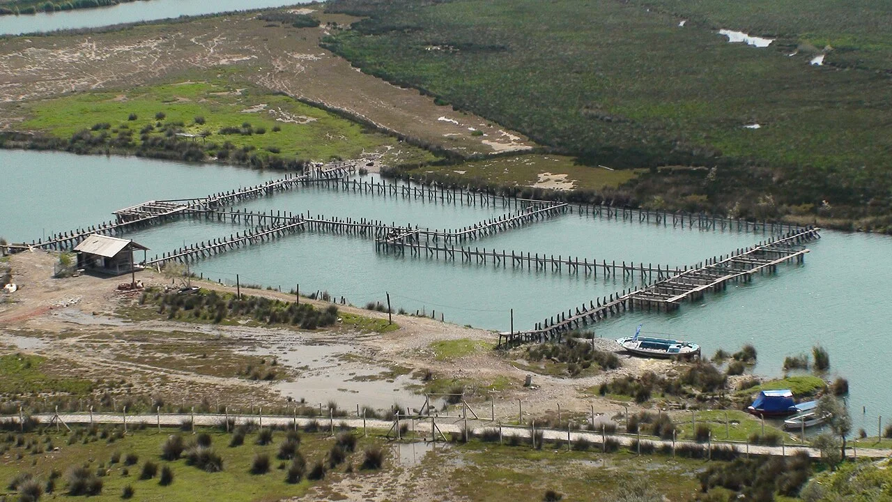 Kaunos iskelesi yakınında Dalyan su yolu ve balık kapanları; Nisan 2011.