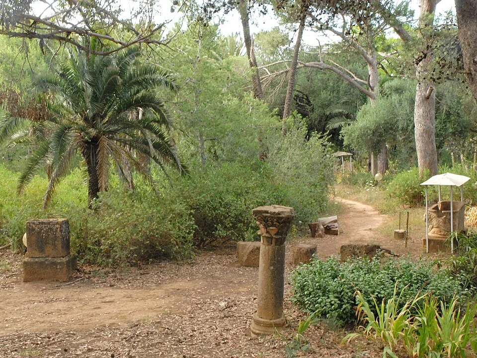 Ancient stone remains at the Tipasa archaeological site