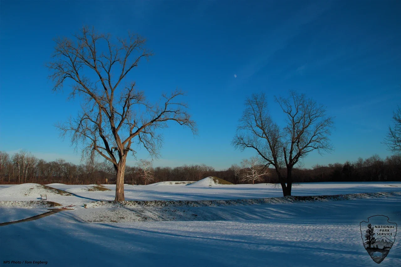 Bare trees and earthwork mounds across snow-covered Mound City