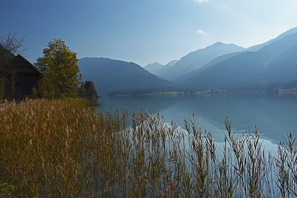 Reeds and mountain view on the northern shore of Weissensee in Carinthia; October 2018.