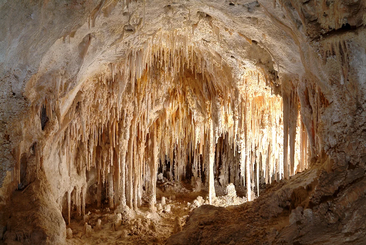 Archival slender natural stalactites in the Doll’s Theater formation at Carlsbad Cavern