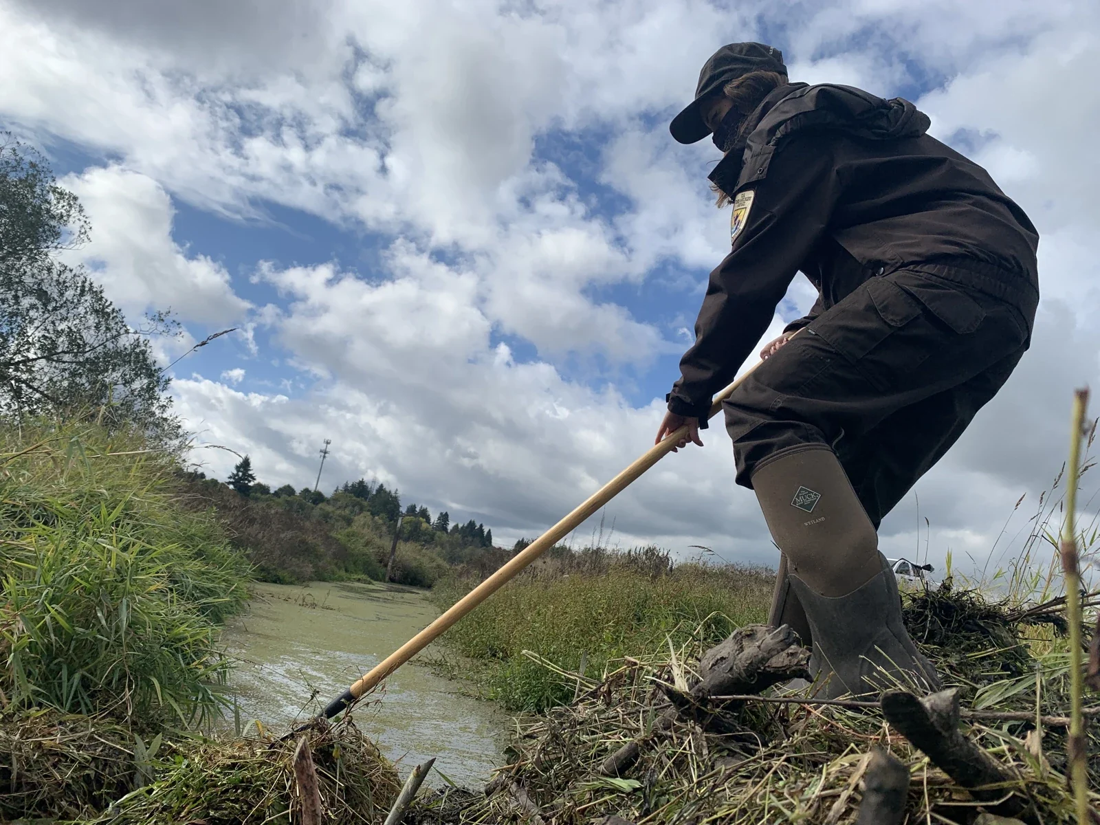 Wetland restoration work at Tualatin River refuge in Sherwood, 2021 archive
