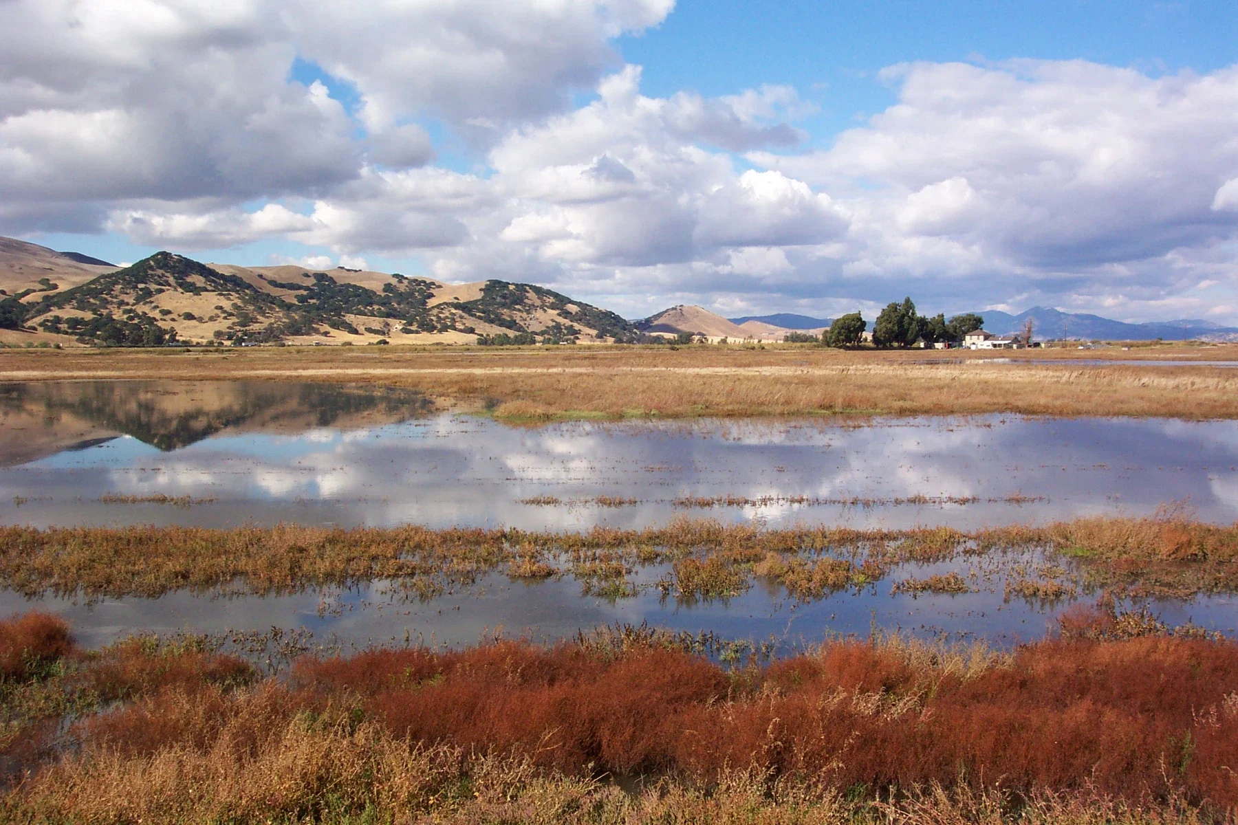 Suisun Marsh sulak alanında su, bitki örtüsü ve tepeler